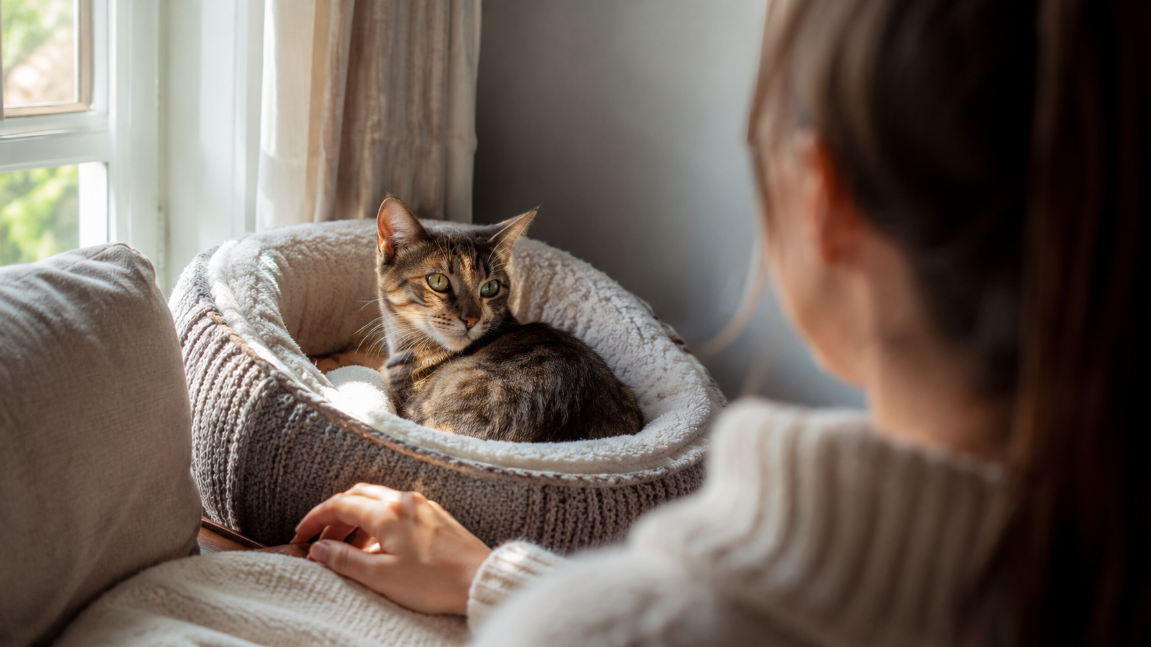 Convivencia respetuosa con un gato